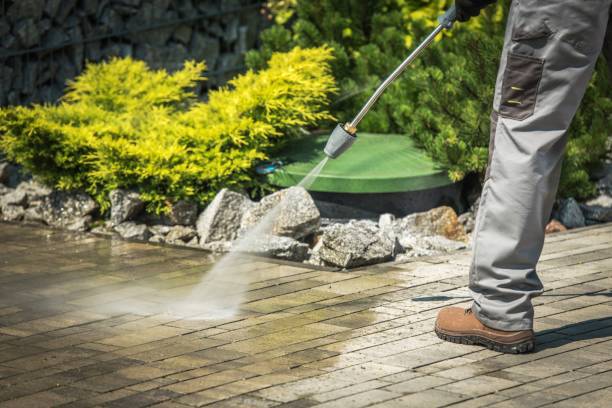 Best Pre-Holiday Cleaning  in Safety Harbor, FL