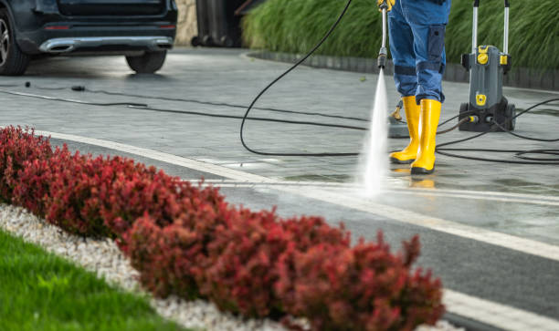 Best Sidewalk and Walkway Cleaning  in Safety Harbor, FL